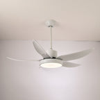 Auron Modern Ceiling Fan Light