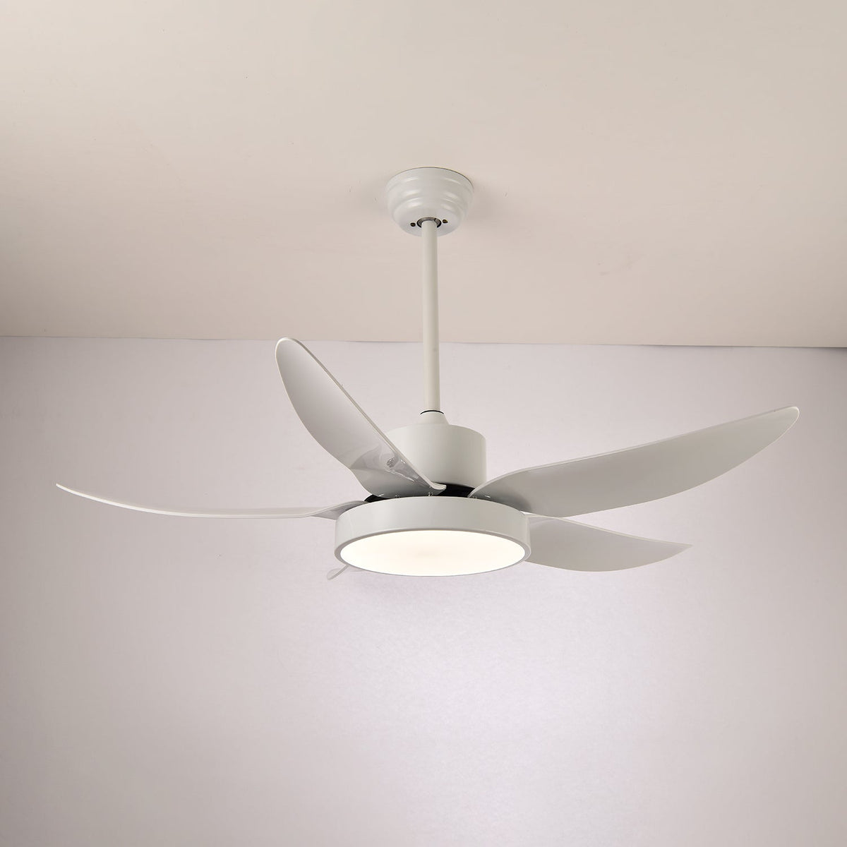 Auron Modern Ceiling Fan Light