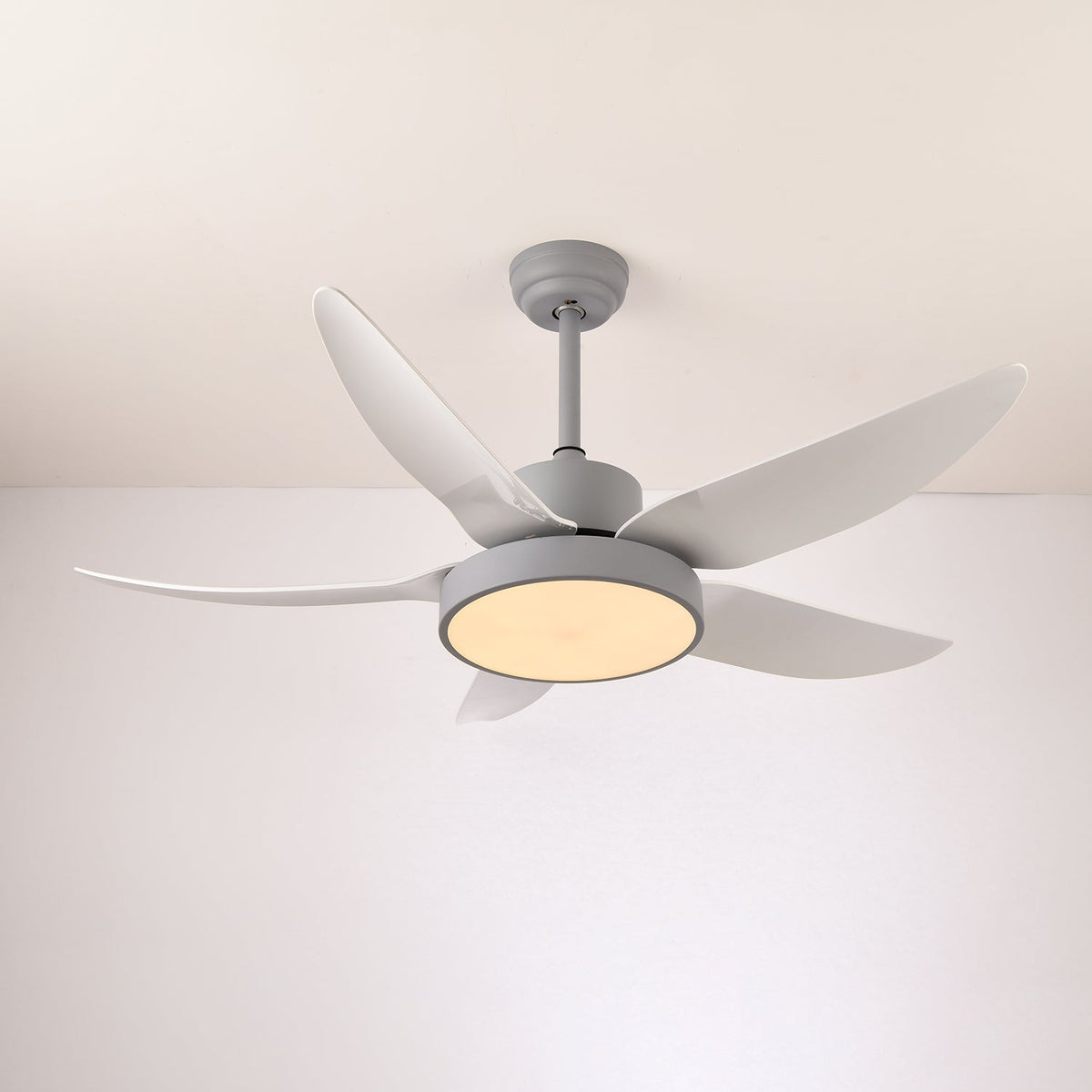 Auron Modern Ceiling Fan Light