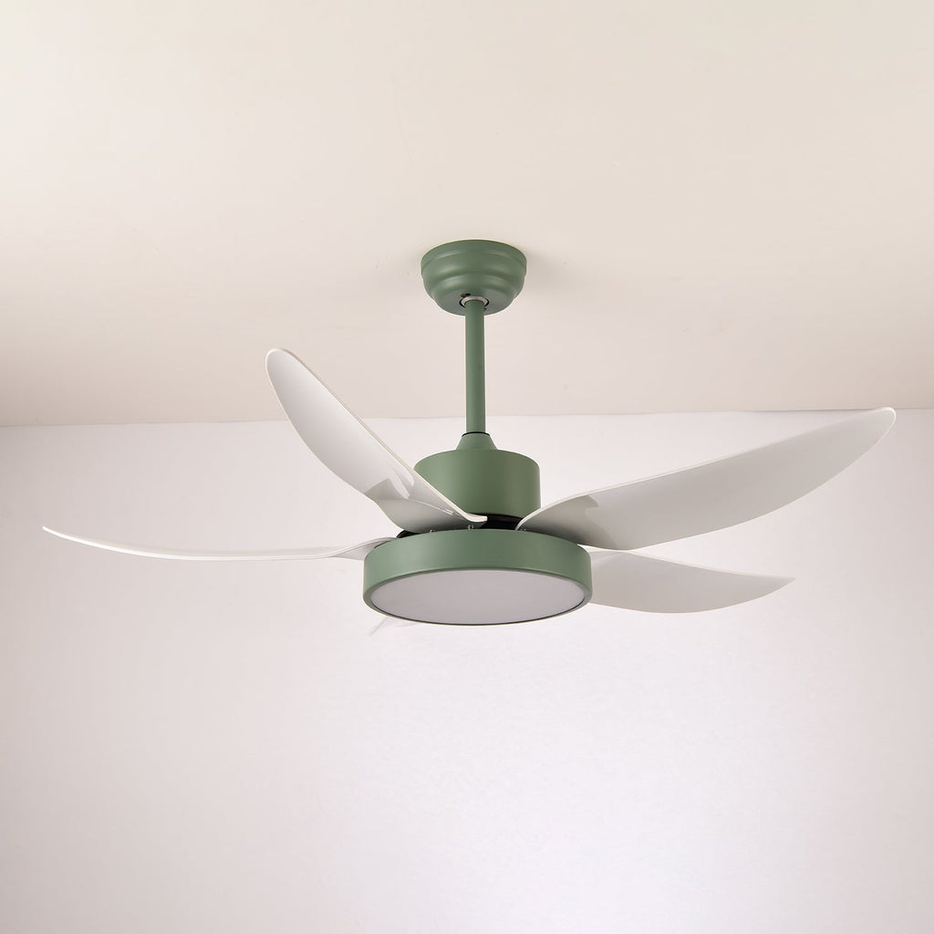 Auron Modern Ceiling Fan Light