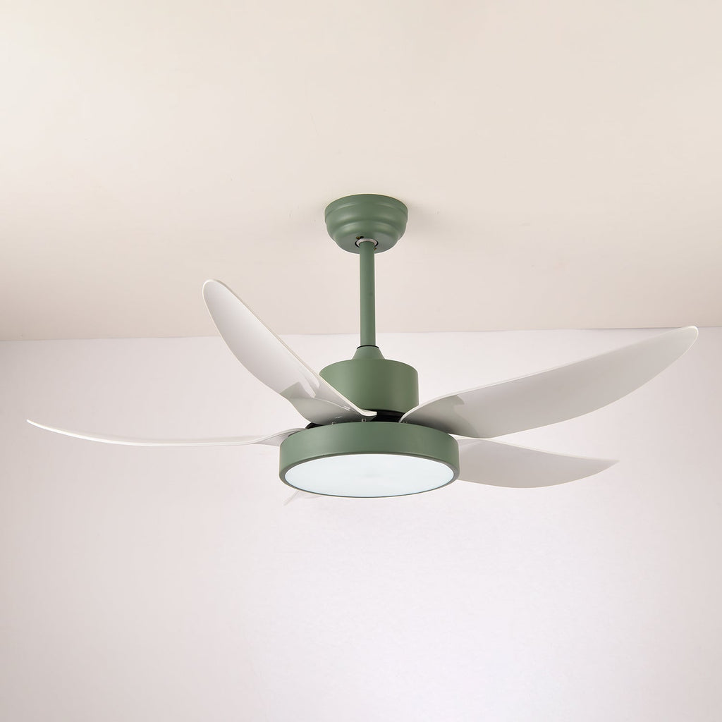 Auron Modern Ceiling Fan Light