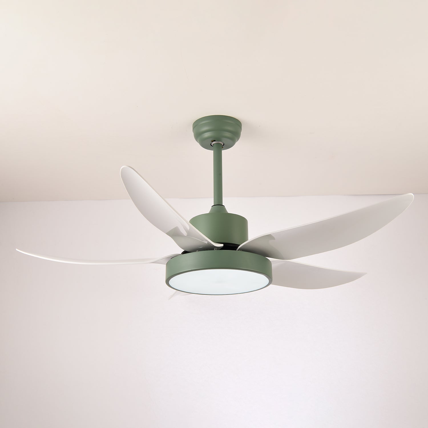Auron Modern Ceiling Fan Light