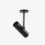 Solara Ceiling Light Cylinder Spotlight Industrial for Loft Study