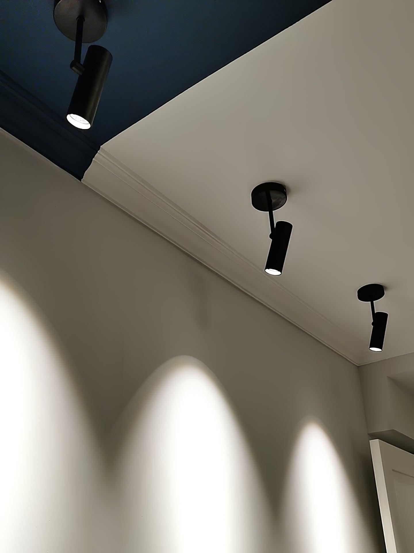 Solara Ceiling Light Cylinder Spotlight Industrial for Loft Study