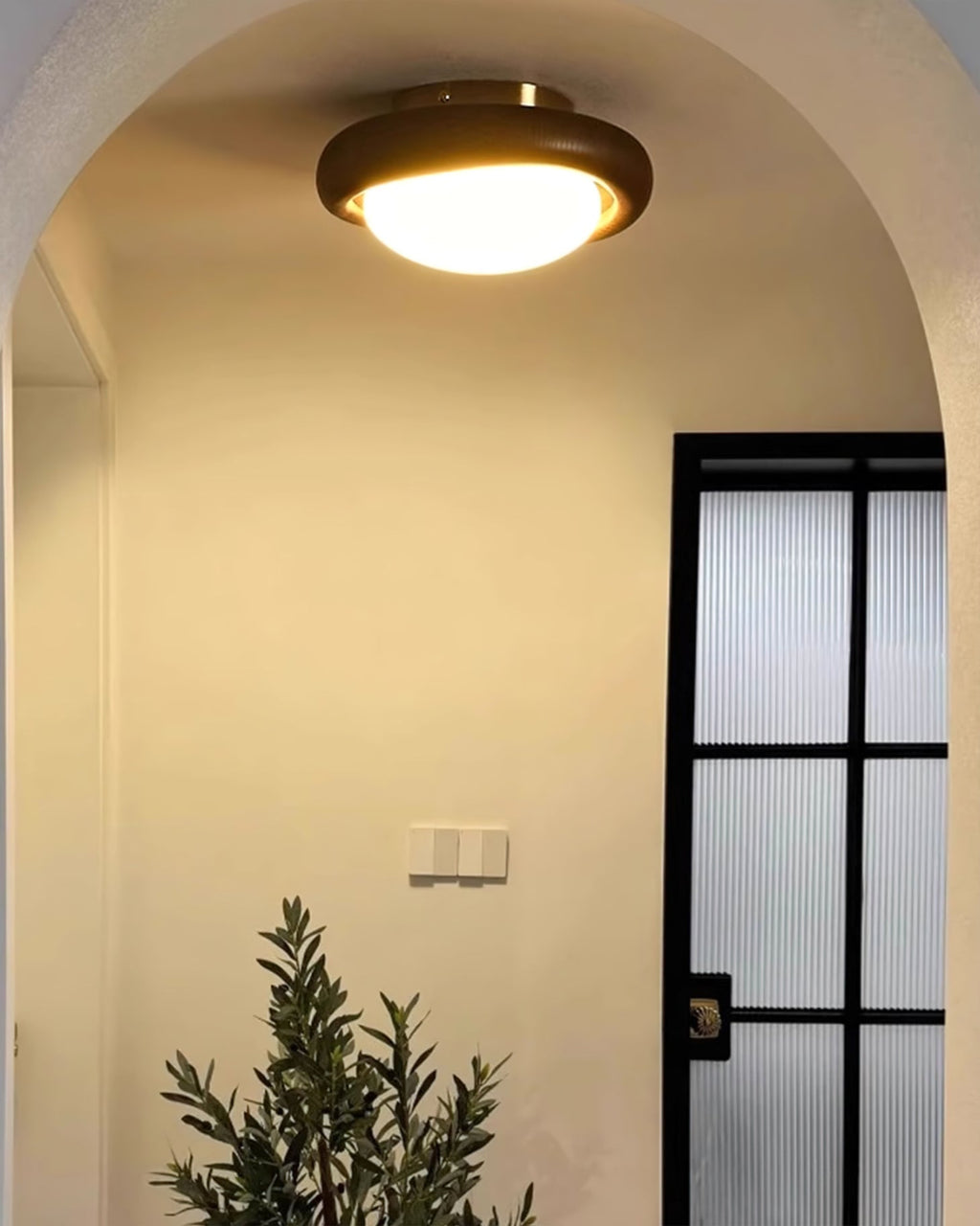 Novi Ceiling Lamp Wooden Ring With Frosted Globe