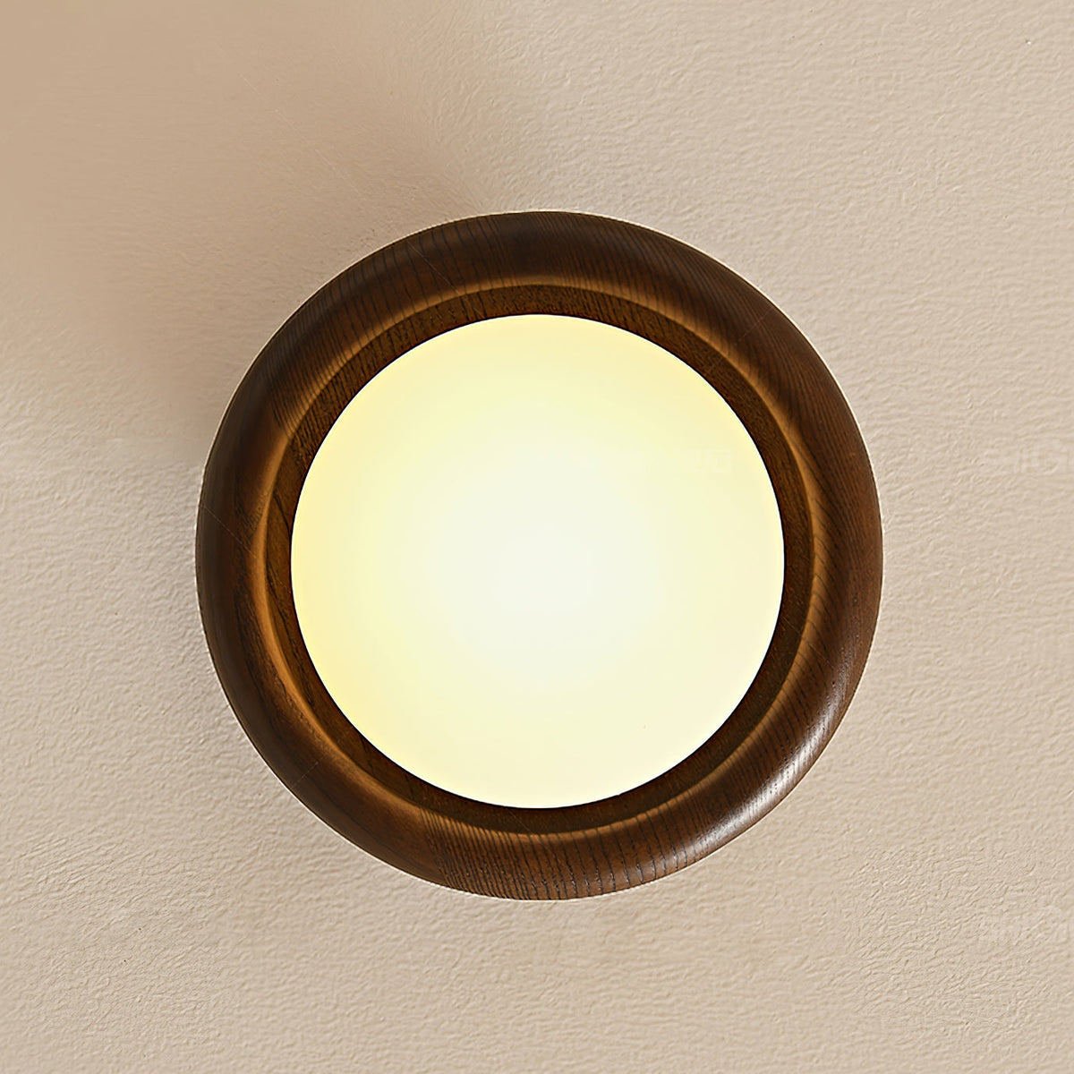 Novi Ceiling Lamp Wooden Ring With Frosted Globe