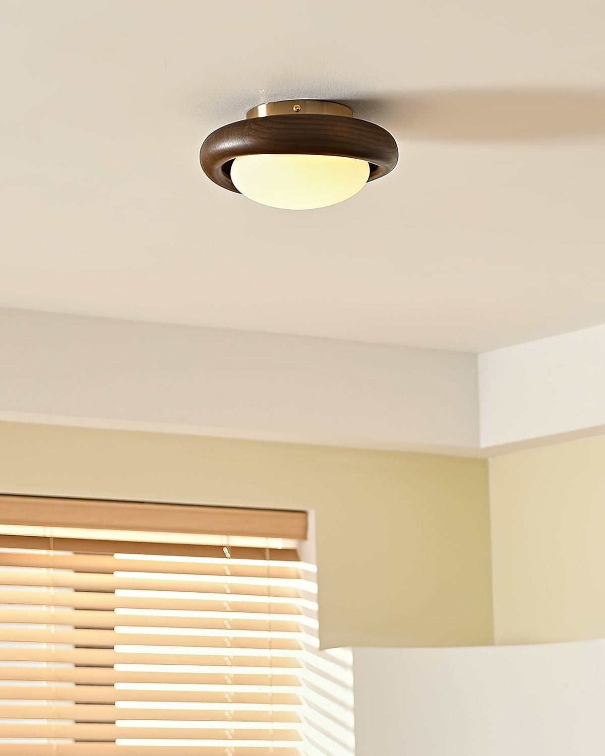 Novi Ceiling Lamp Wooden Ring With Frosted Globe