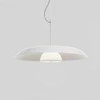 Calyx Acrylic Artistic Pendant Lamp