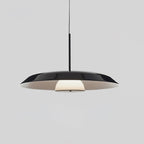 Calyx Acrylic Artistic Pendant Lamp