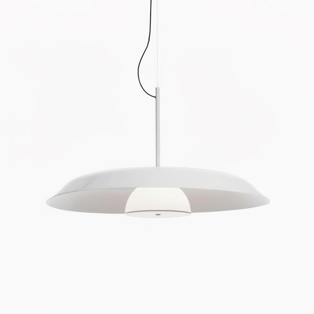 Calyx Acrylic Artistic Pendant Lamp