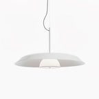 Calyx Acrylic Artistic Pendant Lamp