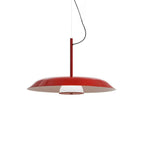 Calyx Acrylic Artistic Pendant Lamp