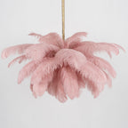 Lustra Chandelier Ostrich Feather Large Brass Stem
