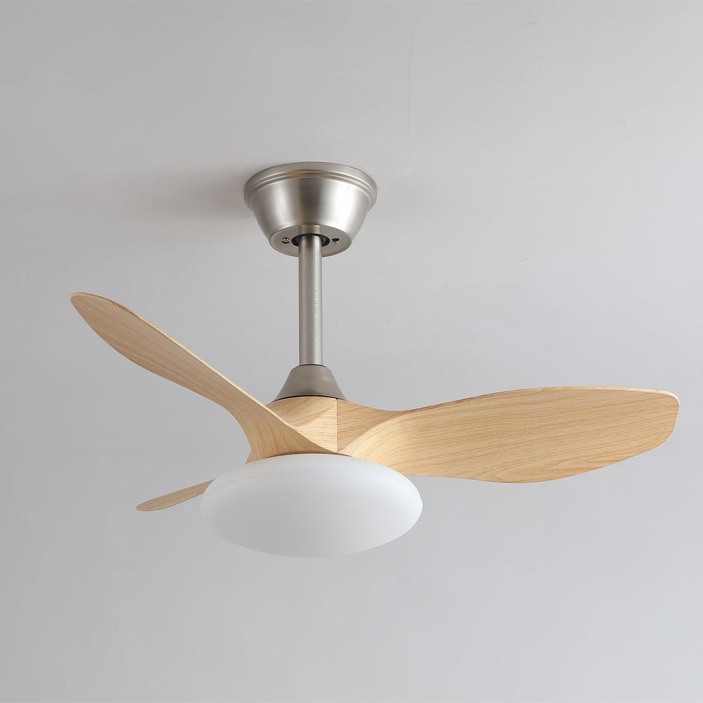 Zephira Minimalist Metal Ceiling Fan Light
