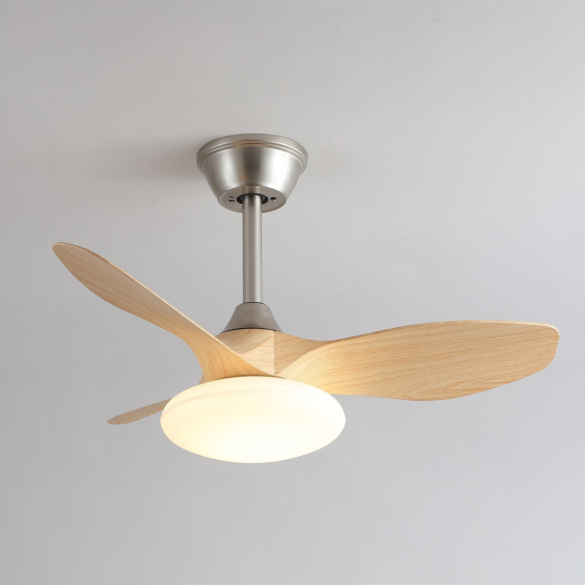 Zephira Minimalist Metal Ceiling Fan Light