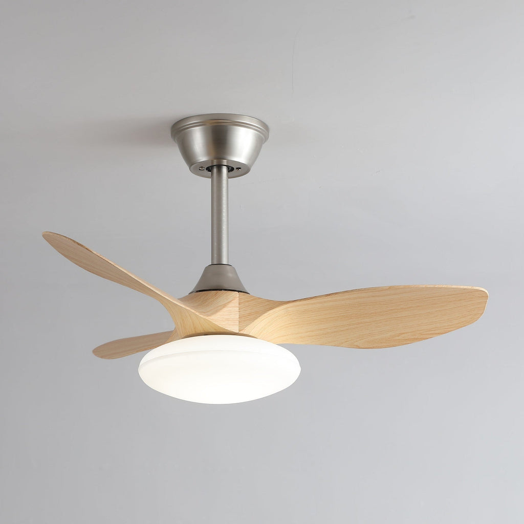 Zephira Minimalist Metal Ceiling Fan Light