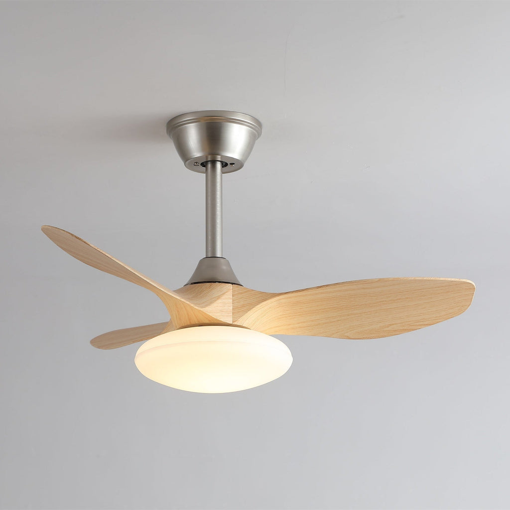 Zephira Minimalist Metal Ceiling Fan Light