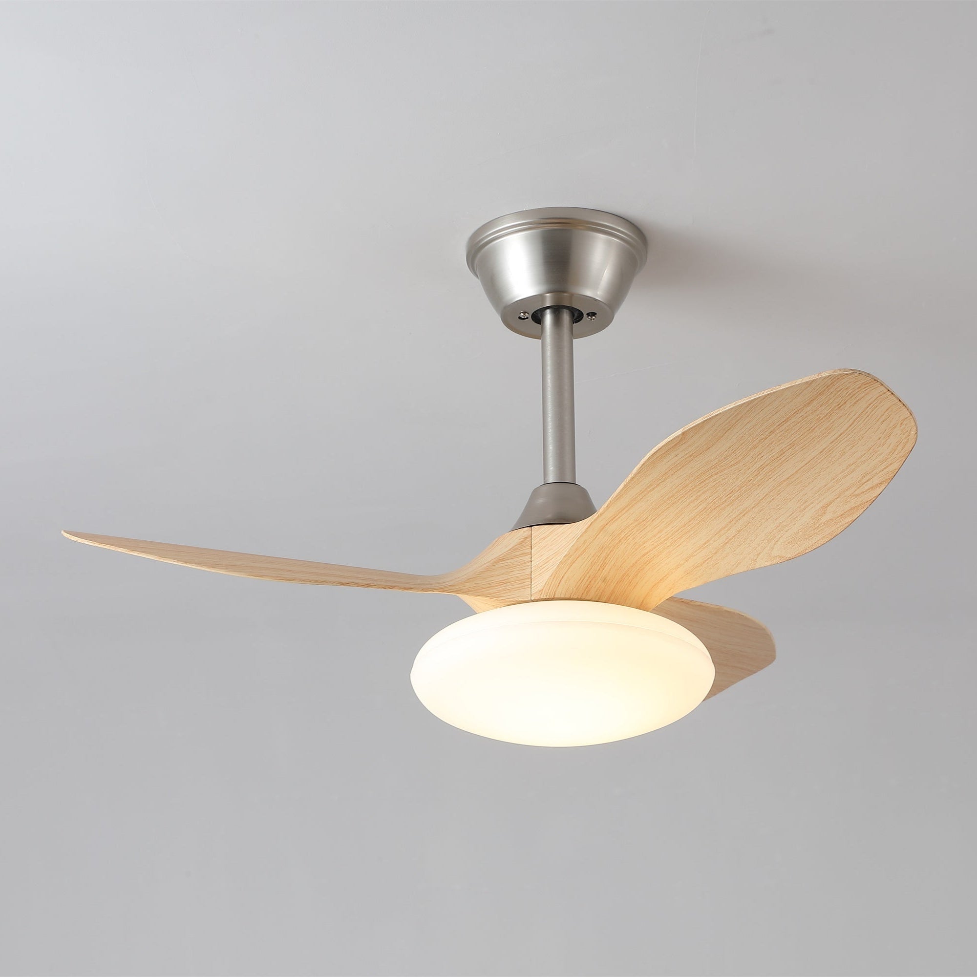 Zephira Minimalist Metal Ceiling Fan Light
