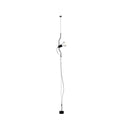 Ilthair Modern Minimalist Pendant Light