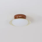 Aira Vintage Bowl-shaped LED Ceiling Light