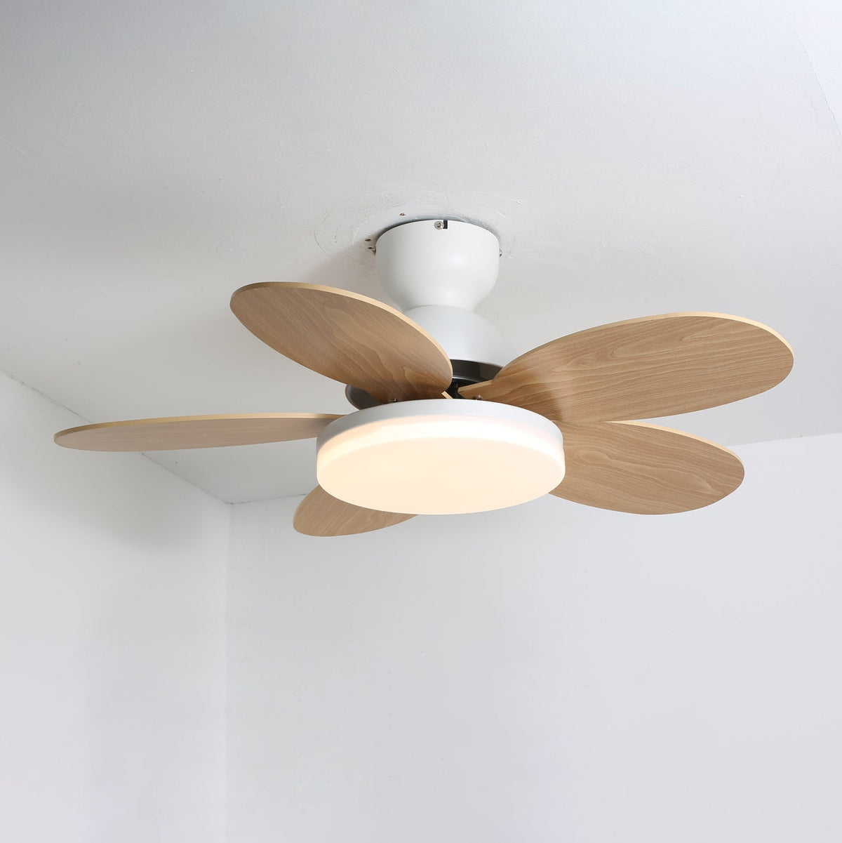 Liora Colorful Wooden Kids Ceiling Fan Light