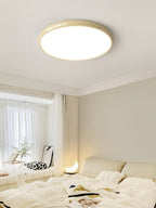 Aurdoreth LED Modern Minimalist Flush Mount Ceiling Light