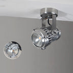 Ivinan Retro Industrial Glass Spotlight