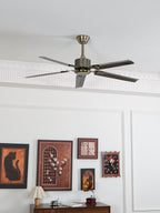 Vosolara Premium Ceiling Fan Ceiling lamp