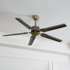 Vosolara Premium Ceiling Fan Ceiling lamp