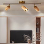 Aim Ceiling Light Spotlight  Wood Long Living Room