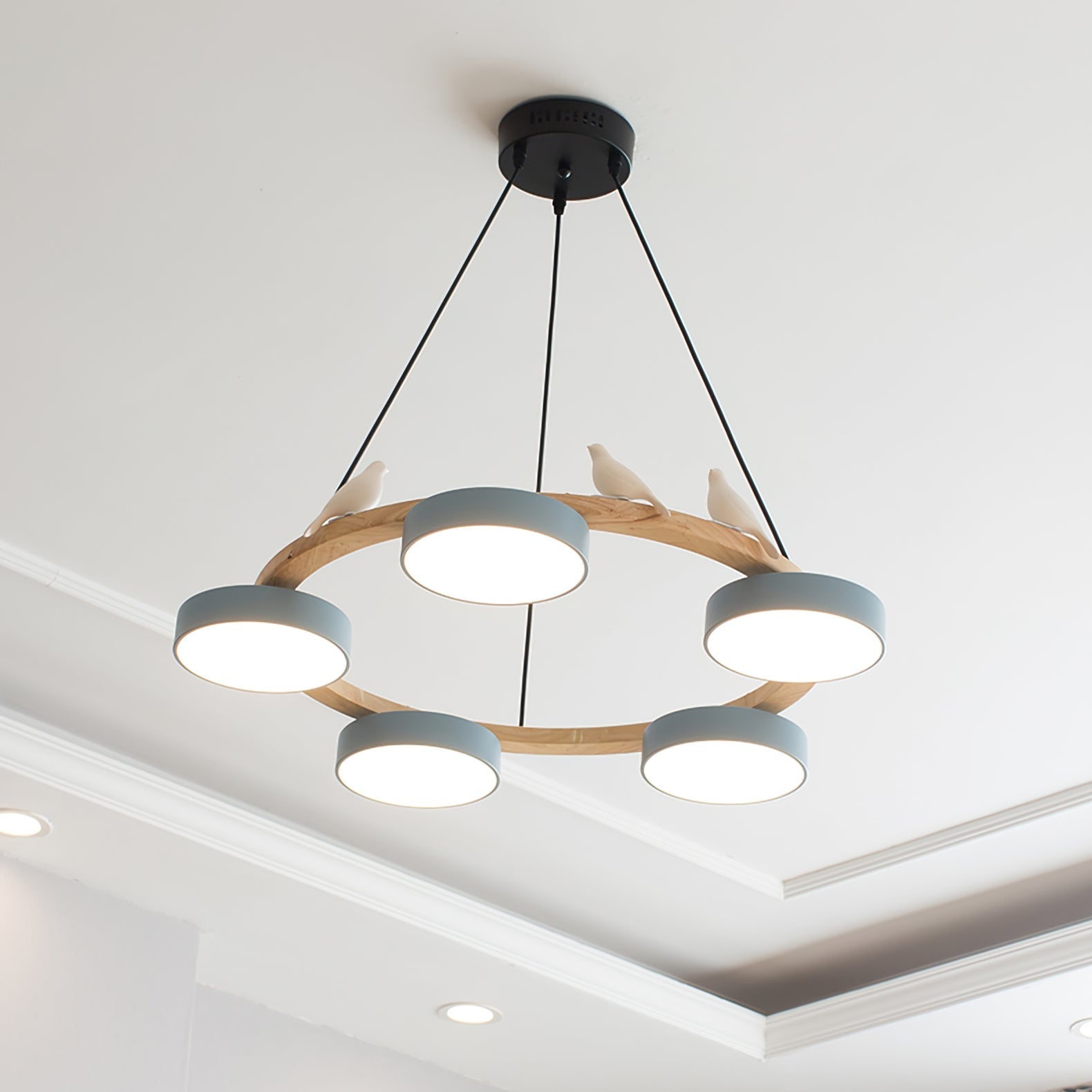 Muto  Chandelier Bird Round - image 14