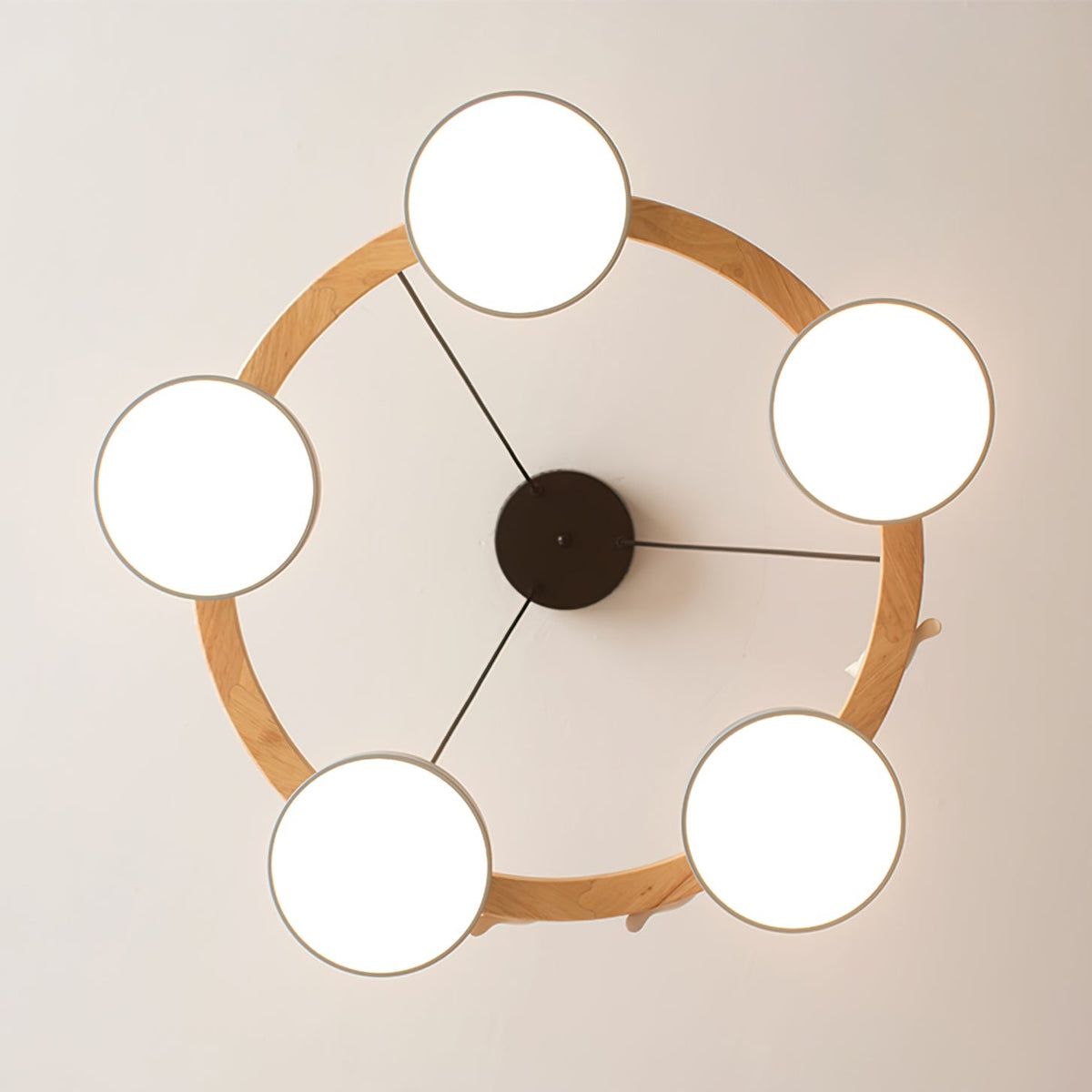 Muto  Chandelier Bird Round - image 7