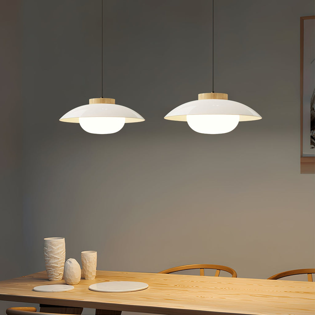 Aero Plug In Pendant Lamp