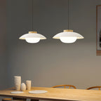 Aero Plug In Pendant Lamp
