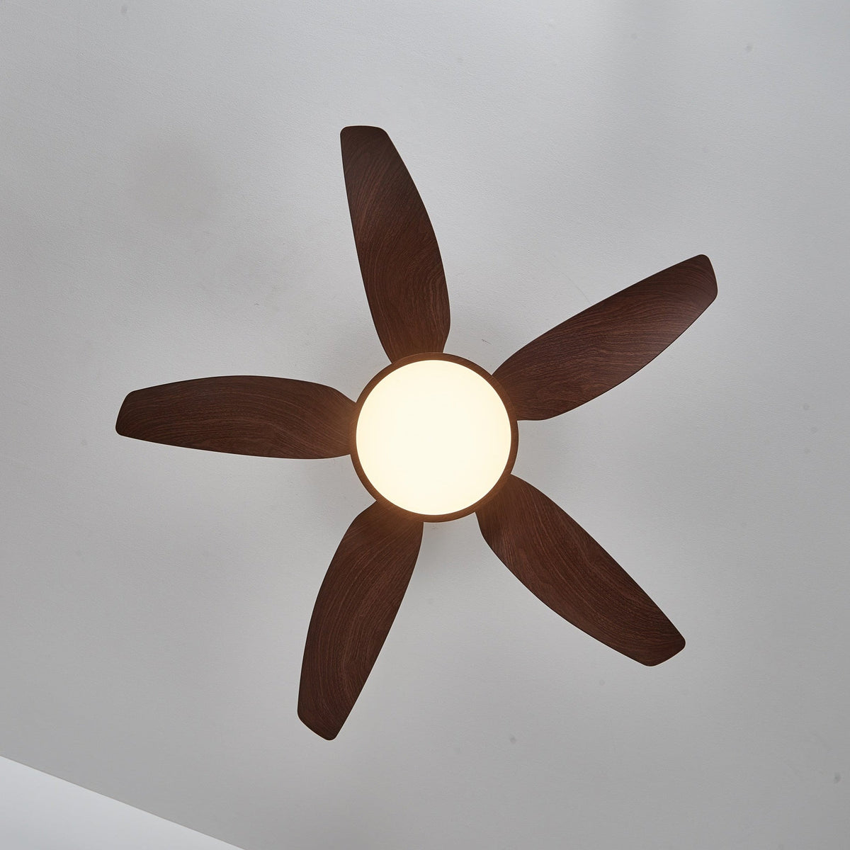 Aurelia Modern Wood Brass Ceiling Fan Light