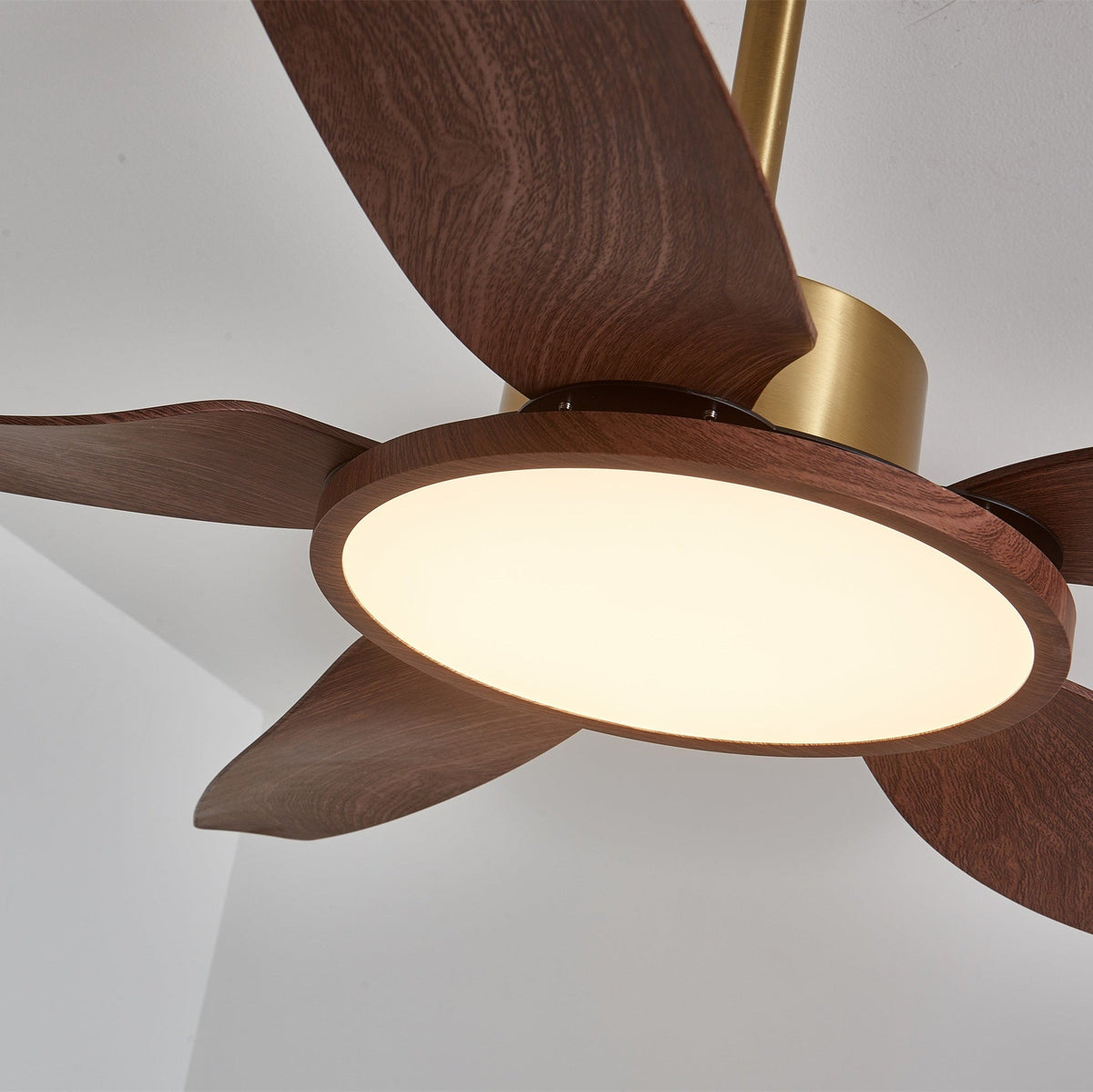 Aurelia Modern Wood Brass Ceiling Fan Light