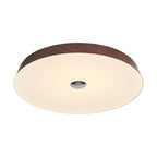 Ceshaora Modern Minimalist Woodgrain Ceiling Light