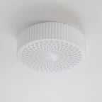 Ageet Nordic Art Glass Ceiling Lamp