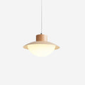 Pendant Lamp and Wood PE Shade Dome Shape Minimalist