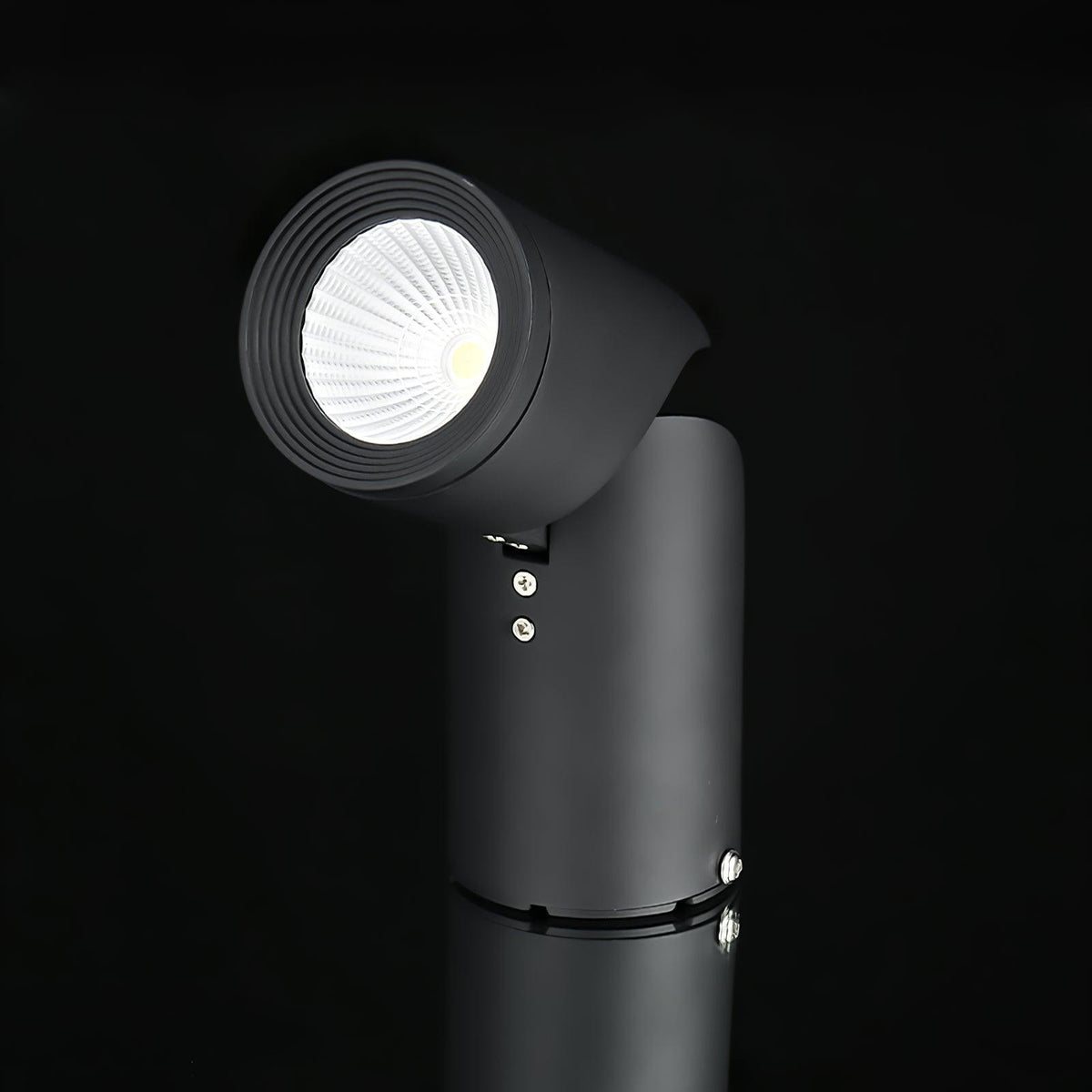 Lustra Ceiling lamp LED Spotlights Sunny Adjustable