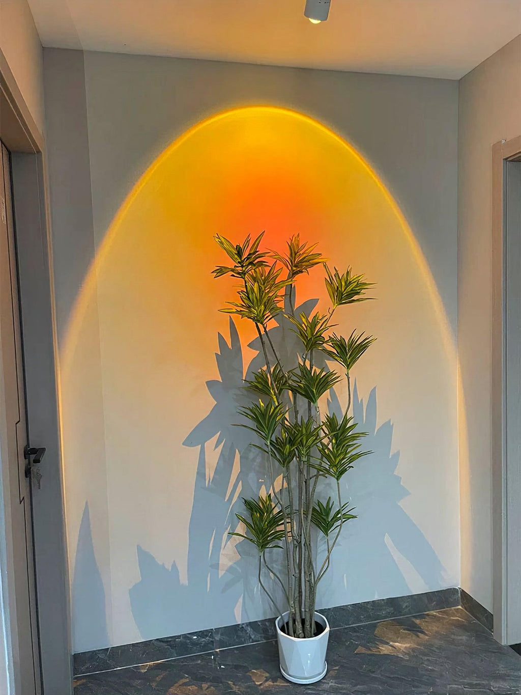 Solara Spotlight LED Adjustable  Contemporary