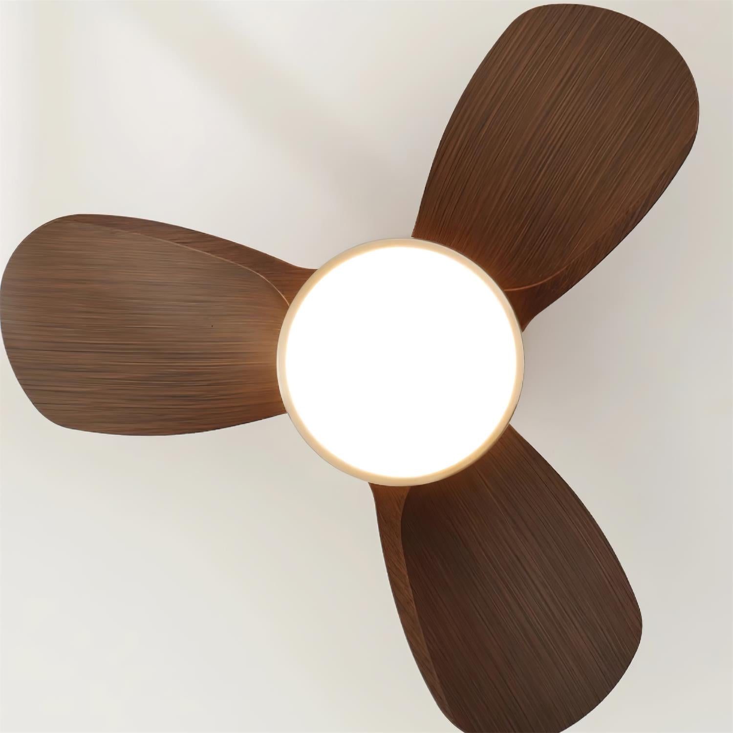 Eamon Modern Wood Ceiling Fan Light
