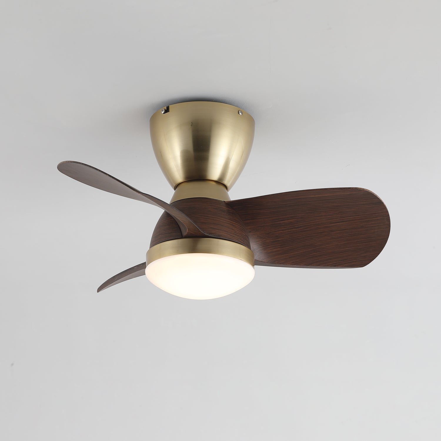 Elora Minimalist Brass Wood Ceiling Fan Light