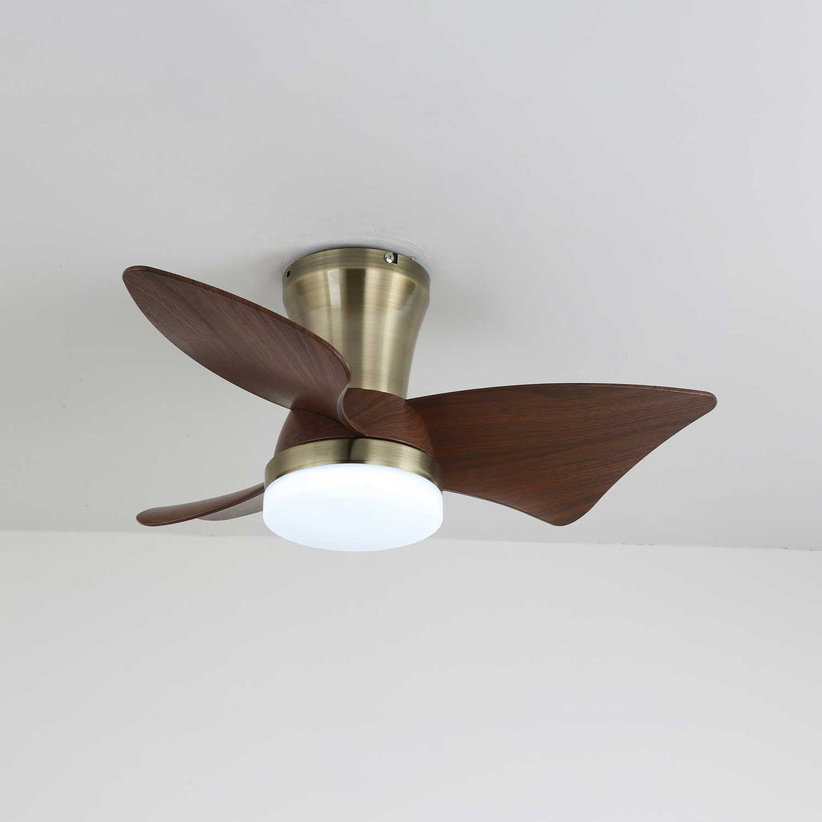 Caspian Modern Wood Ceiling Fan Light