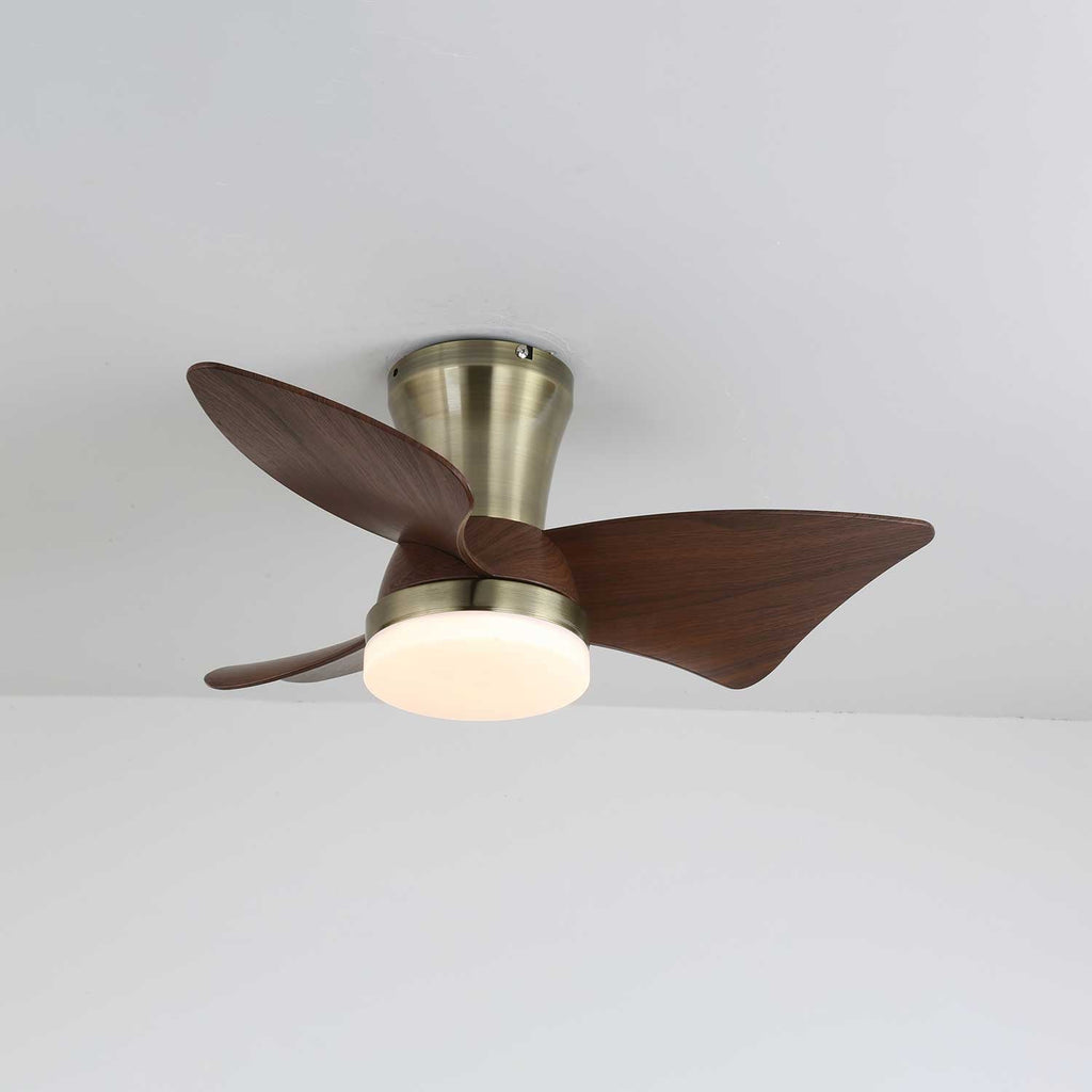 Caspian Modern Wood Ceiling Fan Light
