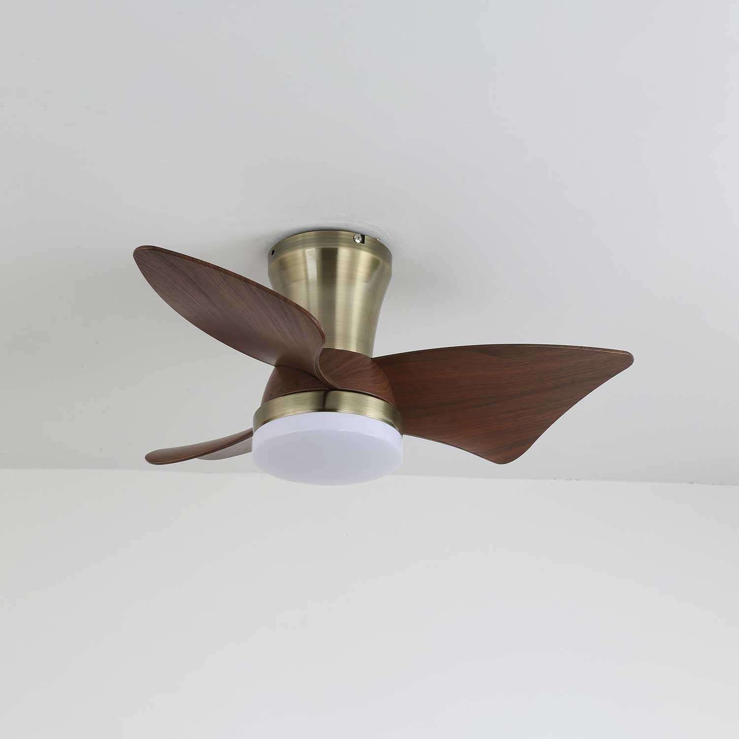 Caspian Modern Wood Ceiling Fan Light