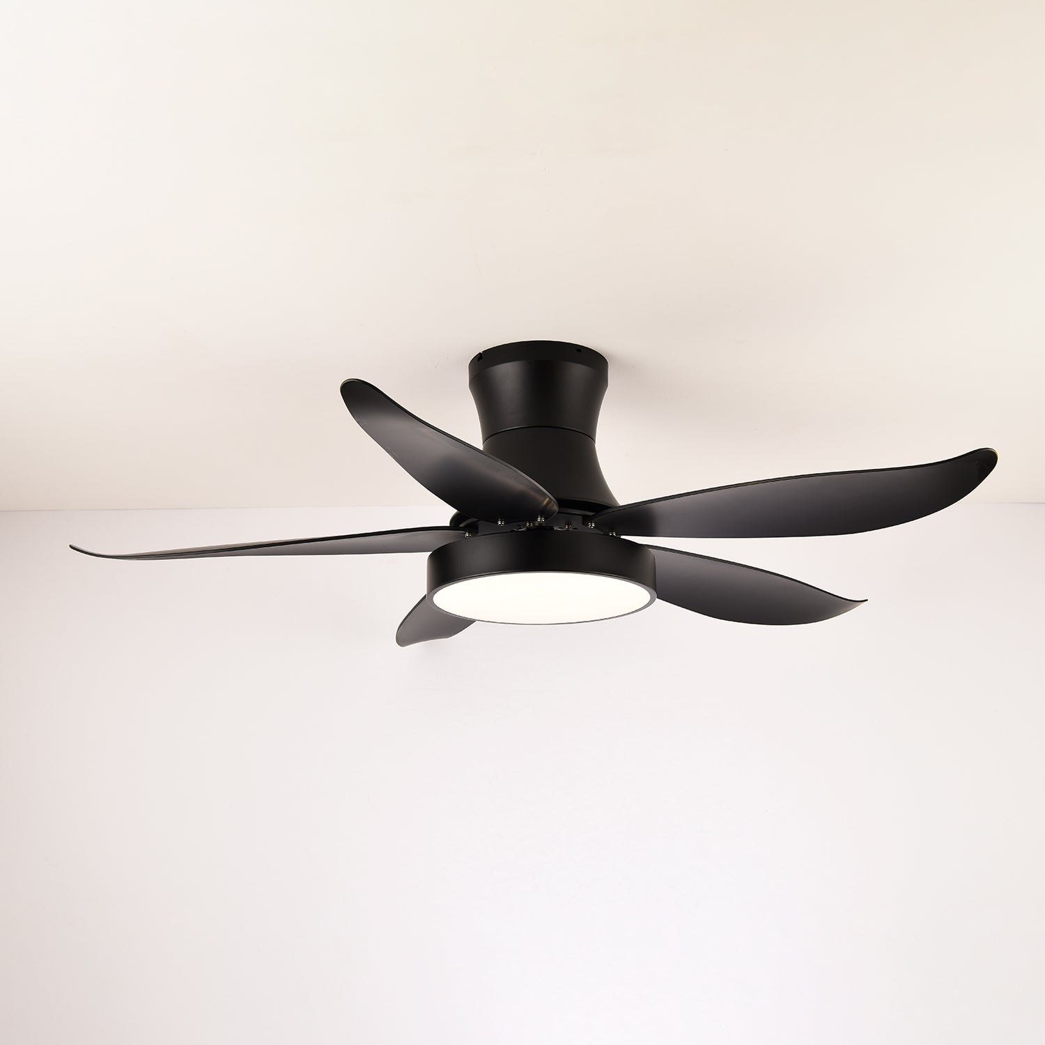 Aveline Modern Black Ceiling Fan Light