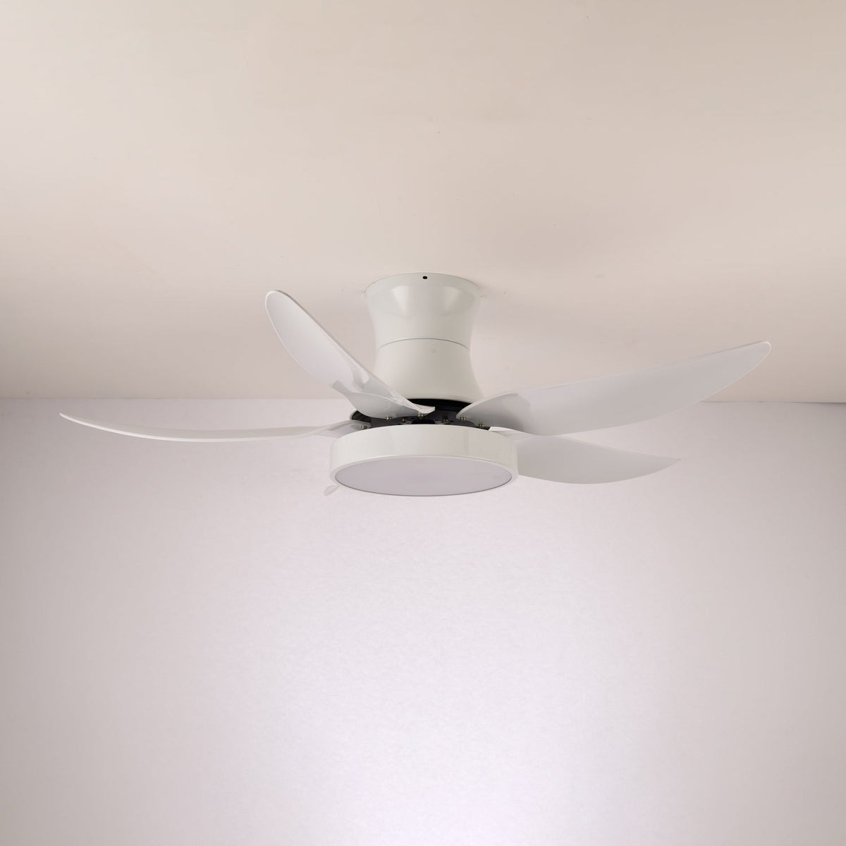 Aveline Modern Black Ceiling Fan Light