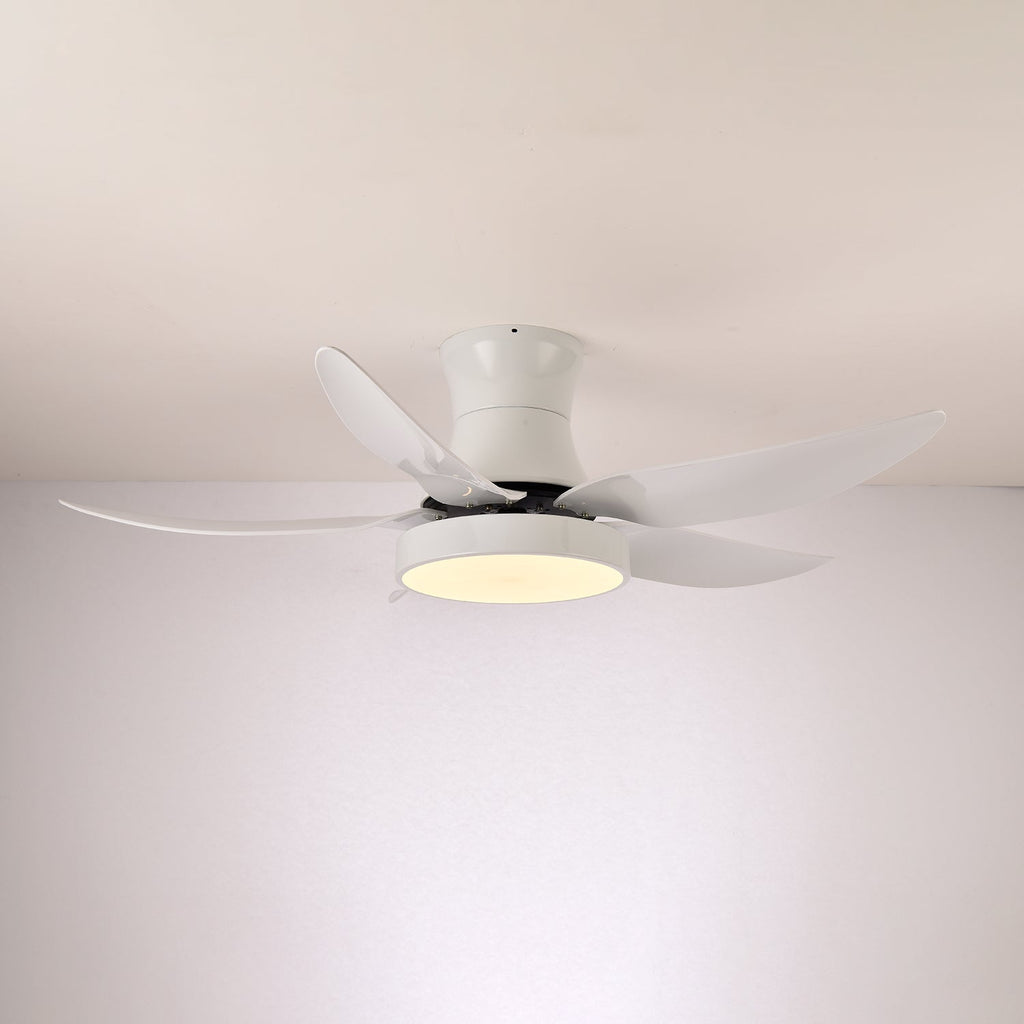 Aveline Modern Black Ceiling Fan Light