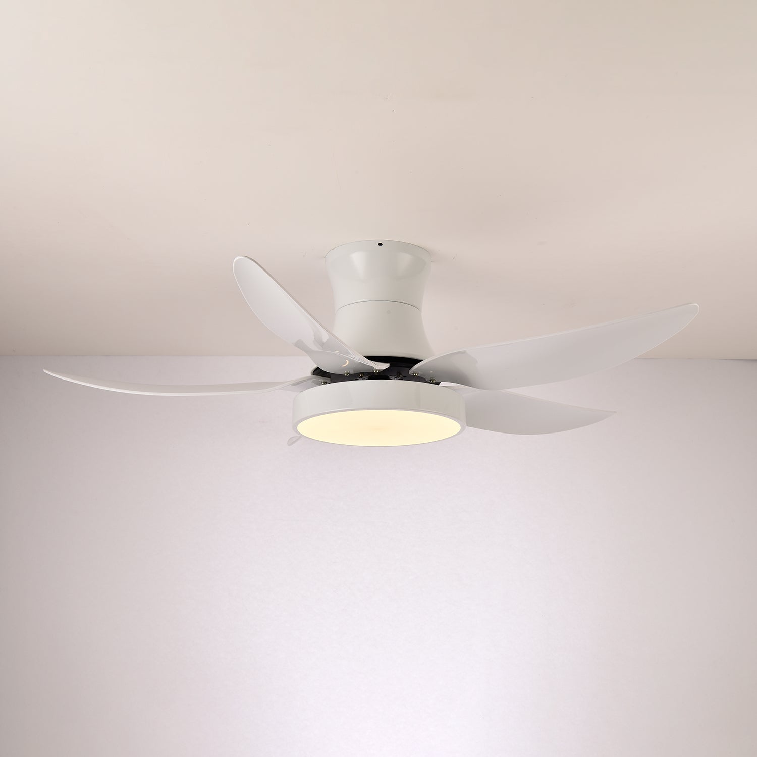 Aveline Modern Black Ceiling Fan Light